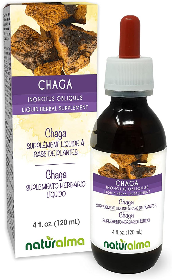 naturalma-chaga-inonotus-obliquus-fungus-or-mushro-1.jpg
