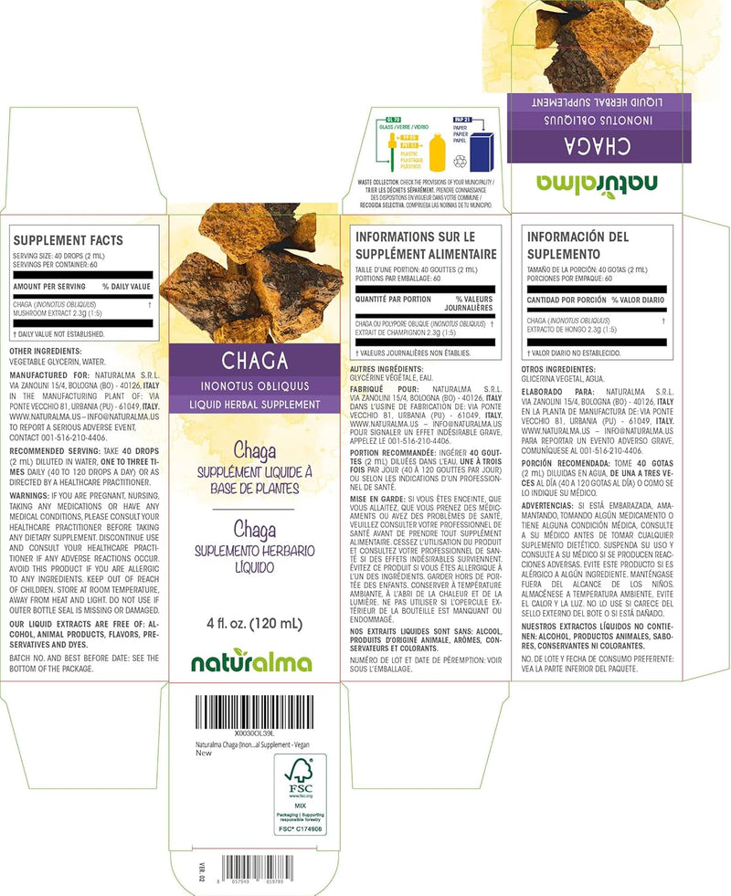 naturalma-chaga-inonotus-obliquus-fungus-or-mushro-2.jpg