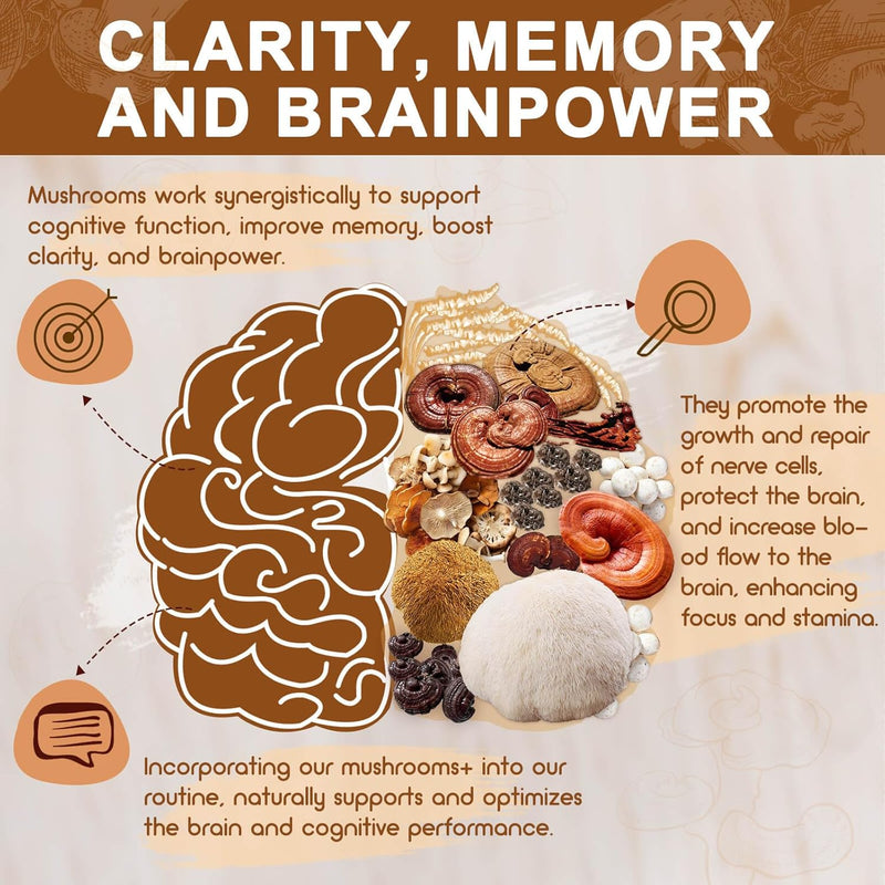 nature-target-mushroom-supplement-mushroom-complex-3.jpg
