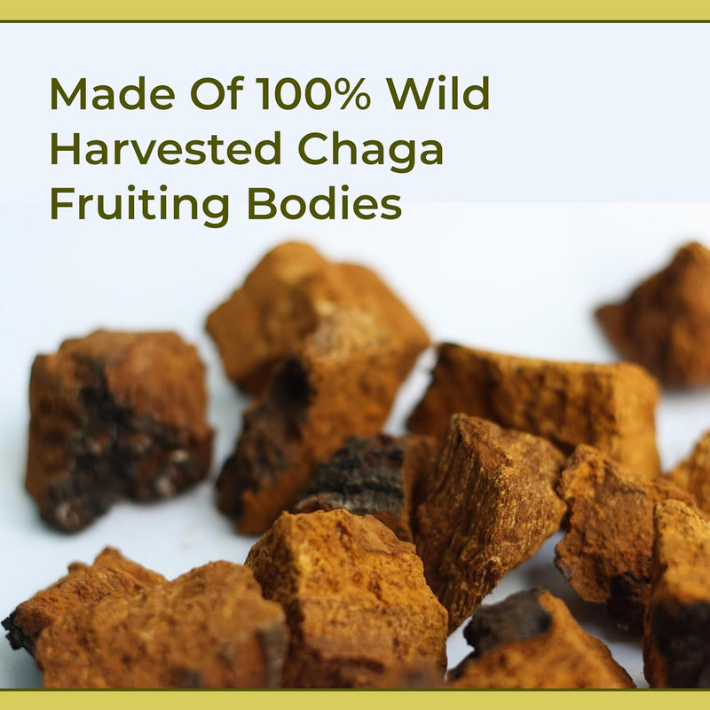naturealm-chaga-mushroom-liquid-tincture-supplemen-7.jpg