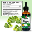 natures-answer-alcohol-free-ginkgo-leaf-2000mg-2oz-extract-stimulates-memory-mood-concentration-gluten-free-kosher-certified-no-preservatives-single-count-2