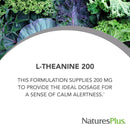 natures-plus-pro-l-theanine---60-capsules---suppor-2.jpg