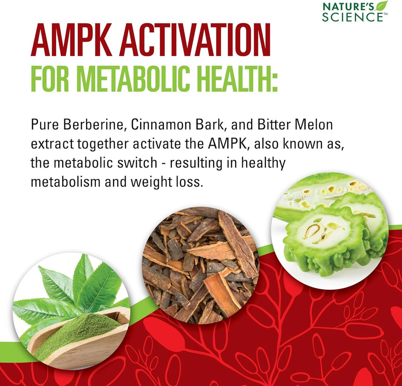 natures-science-berberine-hcl-with-phytosome-green-3.jpg