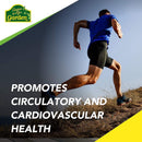 naturesplus-source-of-life-garden-certified-organic-family-iron-18-mg-cap---30-vegan-capsules---plant-based-iron-supplement---supports-healthy-blood---vegetarian-gluten-free---30-servings-2