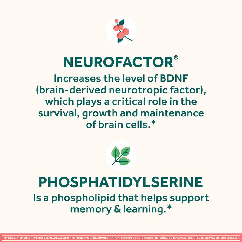 neuriva-original-brain-supplement-for-memory-focus-9.jpg