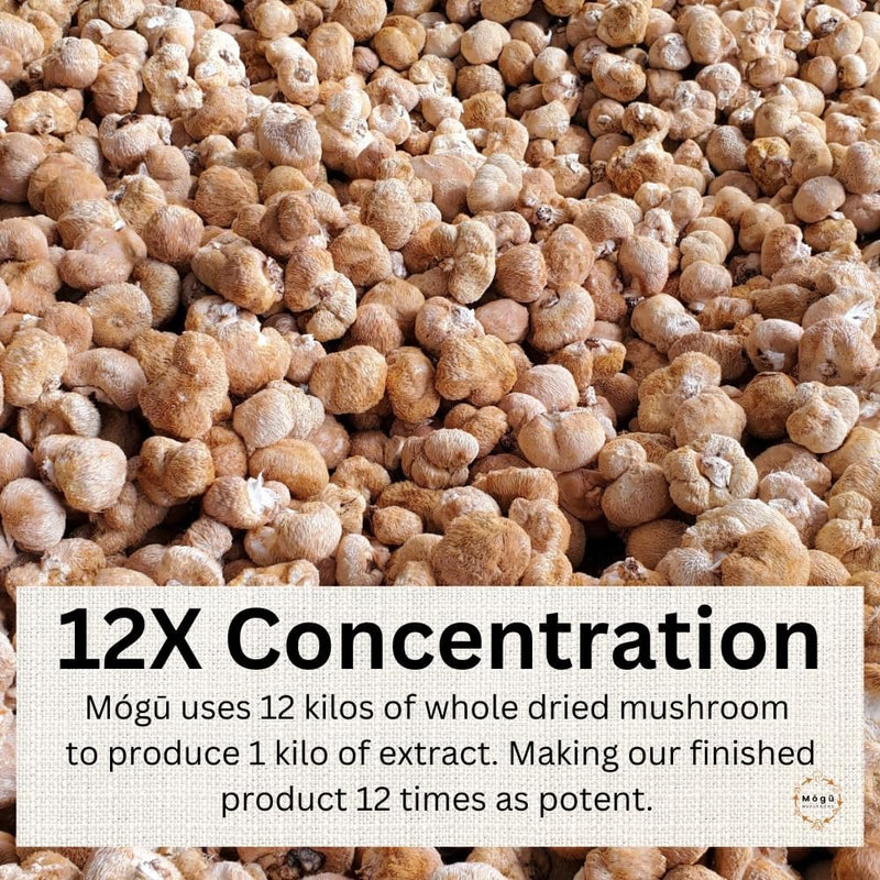 neuro-fuel---memory-focus-cognition-12x-concentrated-high-strength-pure-organic-lions-mane-121-dual-extract-100-fruiting-bodies---125-grams---441-oz-4