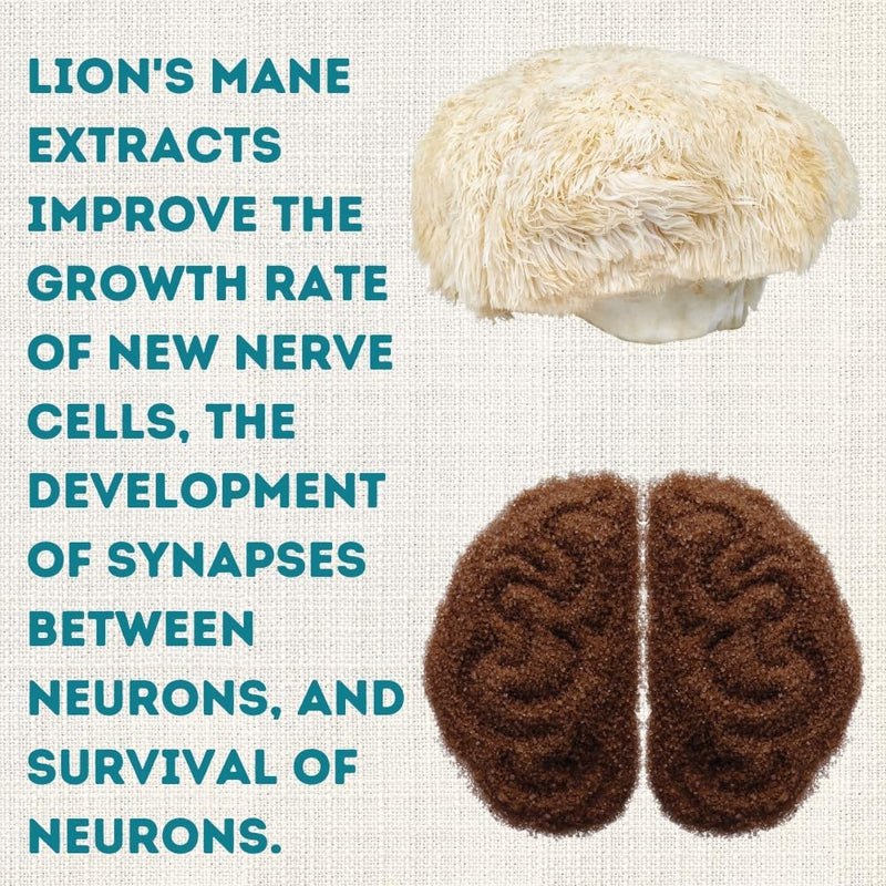neuro-fuel---memory-focus-cognition-12x-concentrated-high-strength-pure-organic-lions-mane-121-dual-extract-100-fruiting-bodies---125-grams---441-oz-8