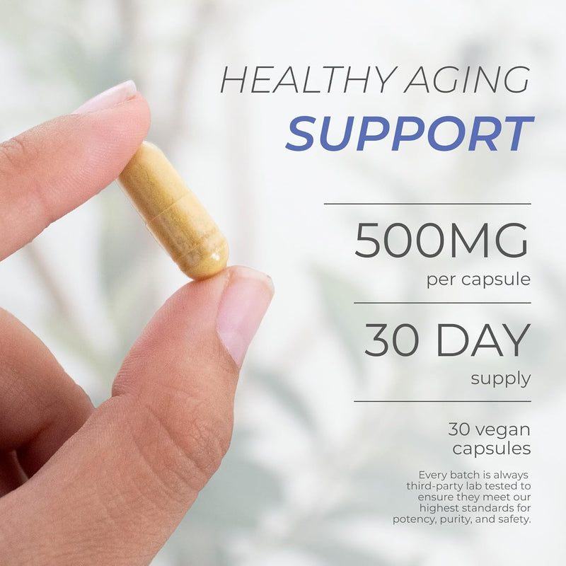 neurogan-fisetin-supplement-500mg---30-count-98-pure-healthy-aging-brain-health-fisetin-capsules-brain-supplements-for-memory-and-focus-senolytic-support-natural-polyphenols-non-gmo-2