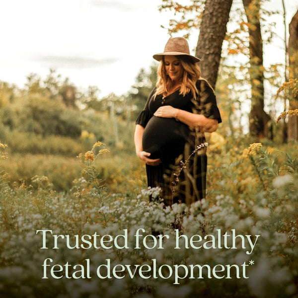 new-chapter-advanced-perfect-prenatal-vitamins-192ct-made-with-organic-non-gmo-ingredients-for-healthy-baby-mom---folate-methylfolate-whole-food-fermented-iron-vitamin-d3-ginger-1