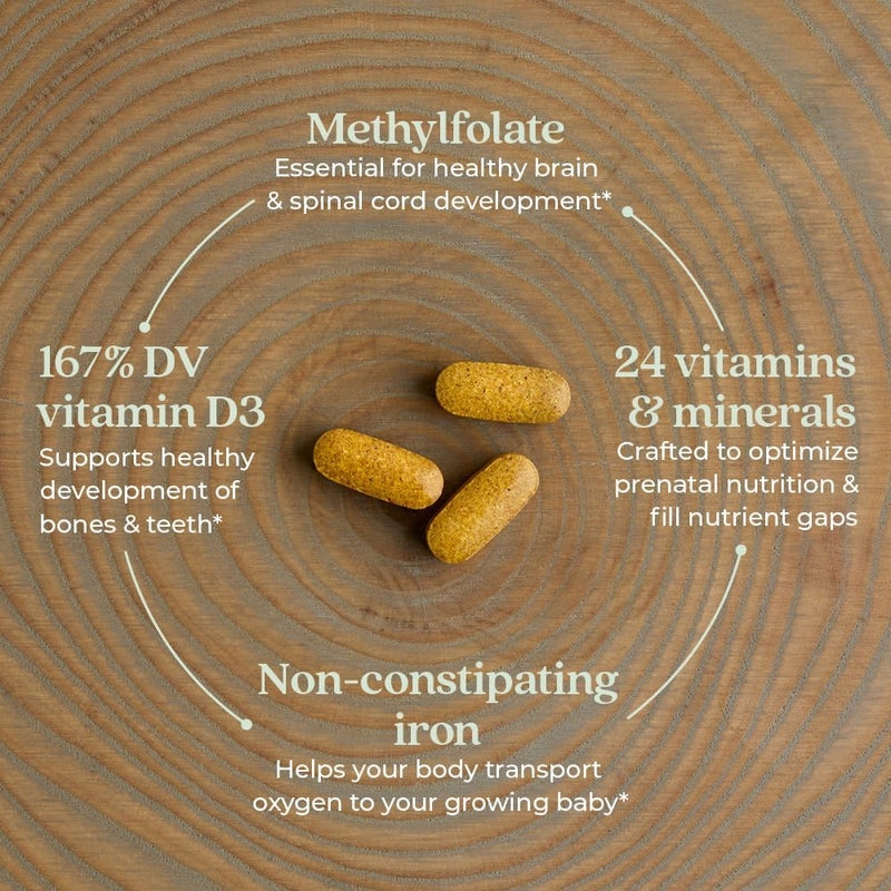 new-chapter-advanced-perfect-prenatal-vitamins-192ct-made-with-organic-non-gmo-ingredients-for-healthy-baby-mom---folate-methylfolate-whole-food-fermented-iron-vitamin-d3-ginger-2