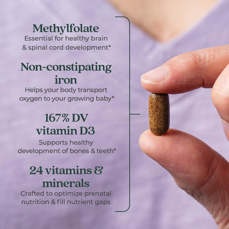 new-chapter-advanced-perfect-prenatal-vitamins-48ct-made-with-organic-non-gmo-ingredients-for-healthy-baby-mom---folate-methylfolate-whole-food-fermented-iron-vitamin-d3-ginger-3