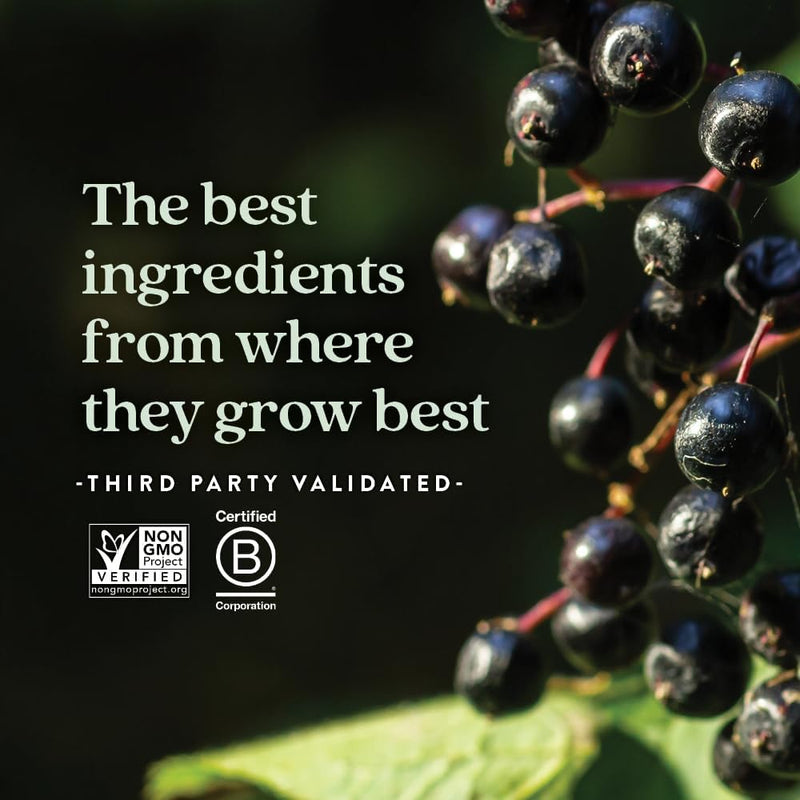 new-chapter-elderberry-syrup-24-servings-immune-de-5.jpg