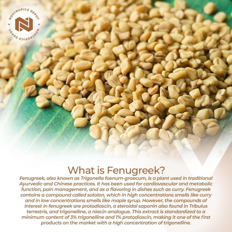 nootropics-depot-fenugreek-extract-capsules-500mg--3.jpg