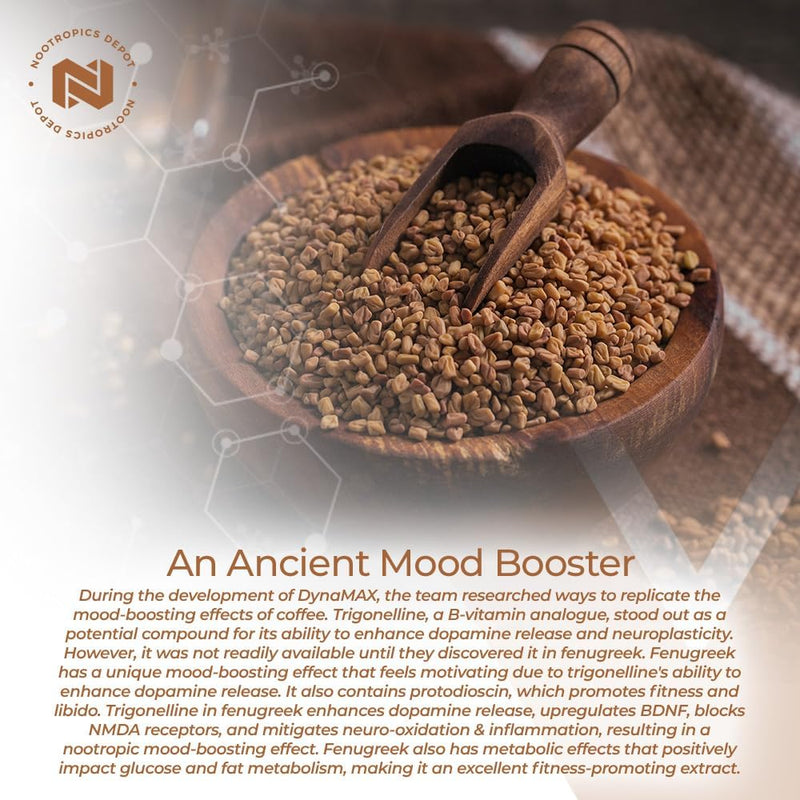 nootropics-depot-fenugreek-extract-capsules-500mg--5.jpg