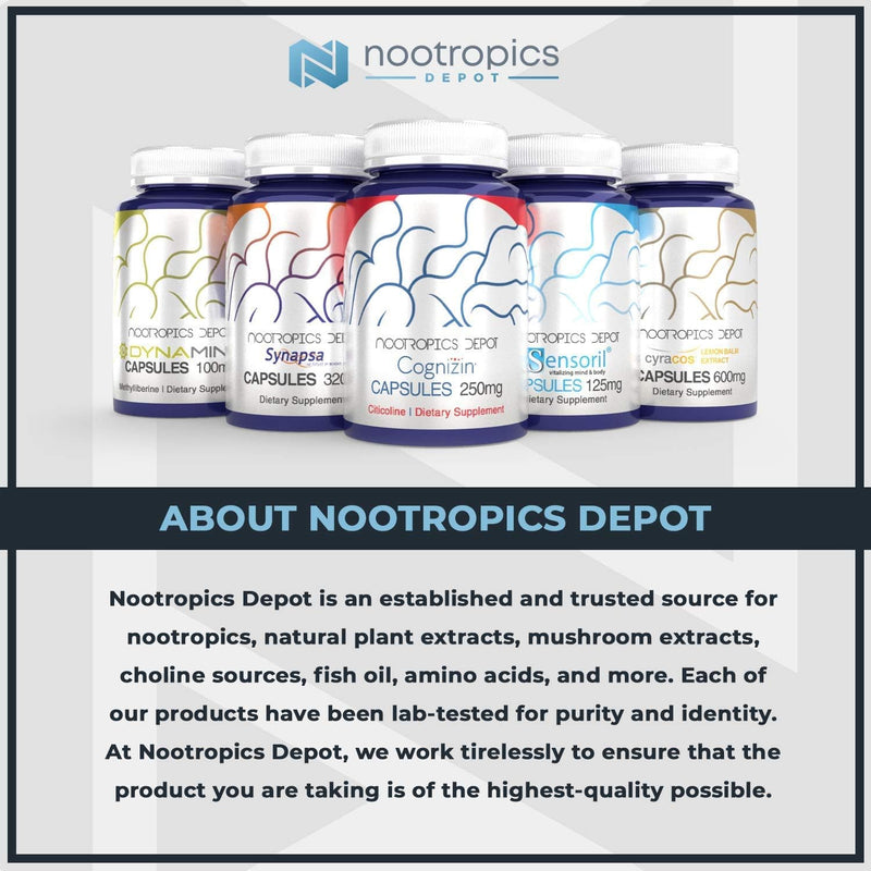 nootropics-depot-quercetin-tablets-500mg-120-count-3.jpg