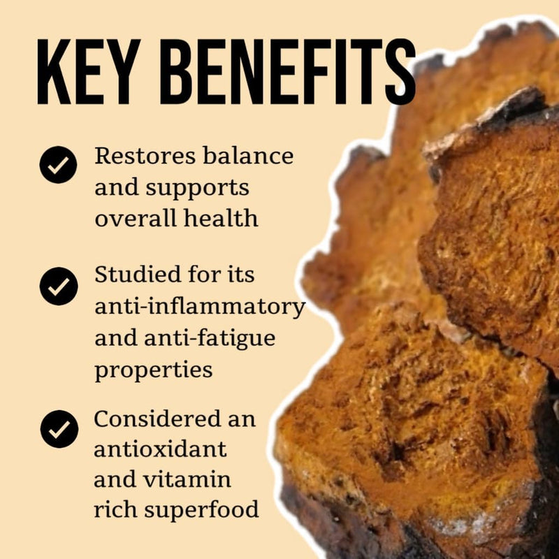 north-spore-chaga-mushroom-tincture-energy-wellnes-4.jpg