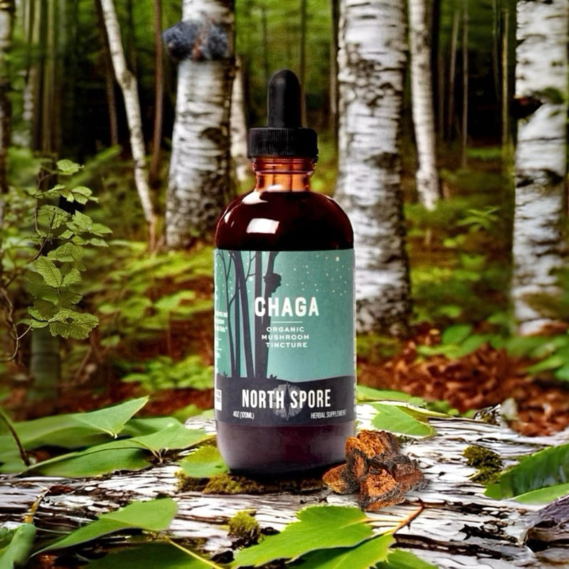 north-spore-chaga-mushroom-tincture-energy-wellnes-5.jpg