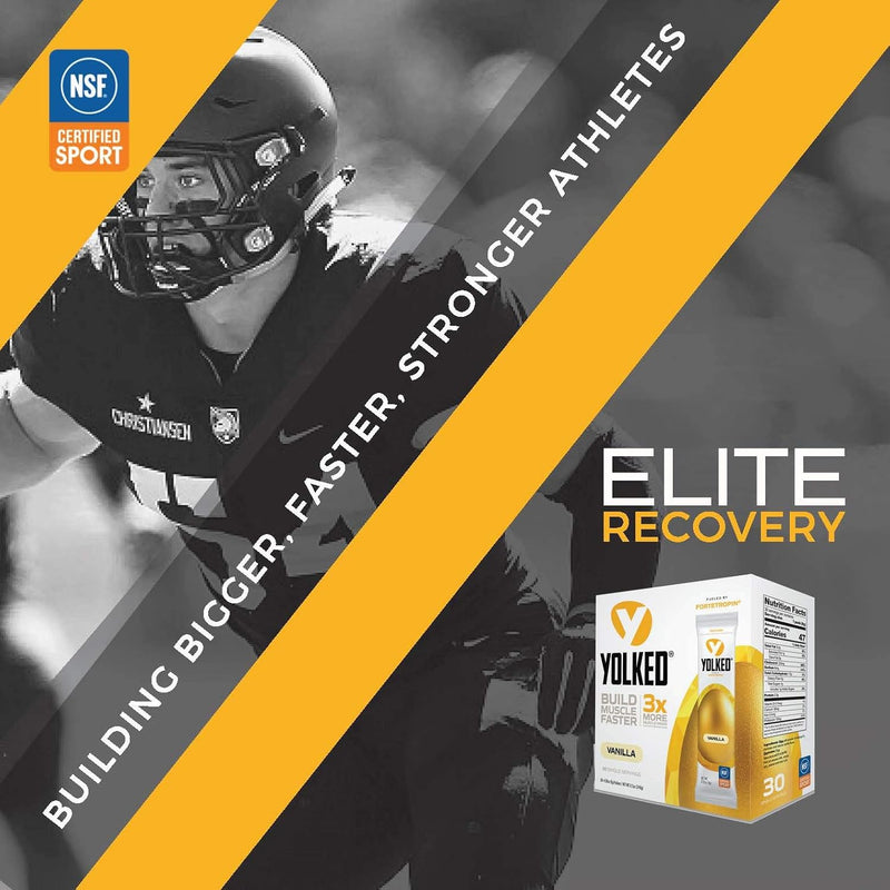 nsf-certified-muscle-building-supplement---help-in-8.jpg