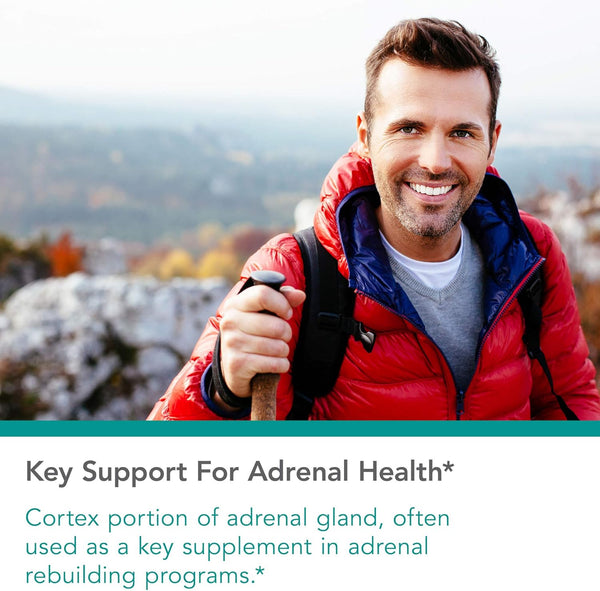 nutricology-adrenal-support-supplement-for-men-women---adrenal-glandular-supplement-immune-function-endocrine-support-100mg-adrenal-extract-bovine-lyophilized---100-count-1