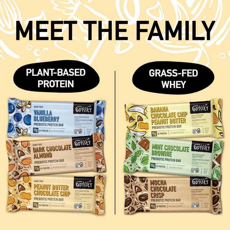 odyssey-snacks-peanut-butter-chocolate-chip-prebio-6.jpg