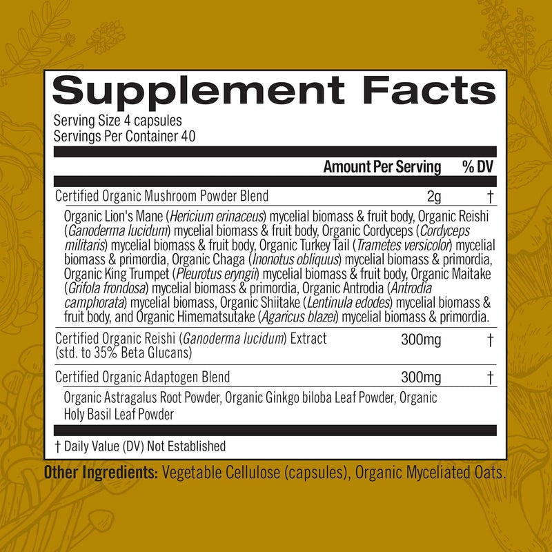 om-mushroom-superfood-capsule-bundle-master-blend--6.jpg