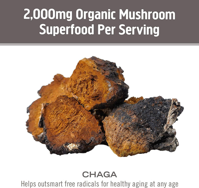 om-mushroom-superfood-chaga-mushroom-capsules-supp-6.jpg