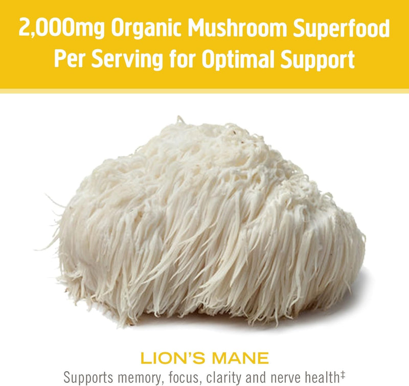 om-mushroom-superfood-lions-mane-organic-mushroom--6.jpg