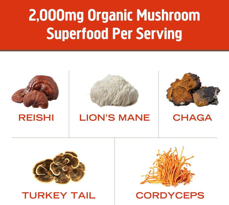 om-mushroom-superfood-morning-energy-blend-mushroo-7.jpg