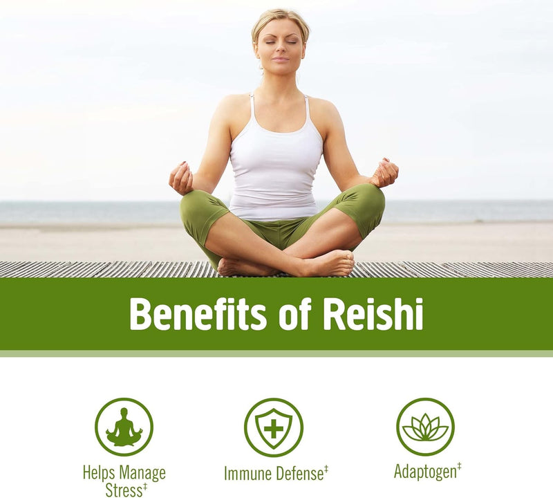 om-mushroom-superfood-reishi-organic-mushroom-powd-3.jpg
