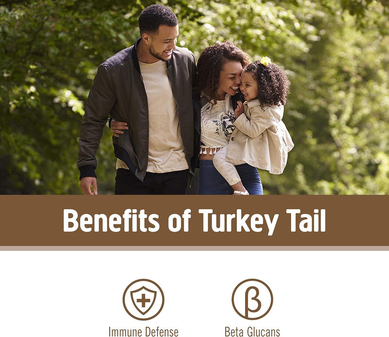 om-mushroom-superfood-turkey-tail-organic-mushroom-3.jpg