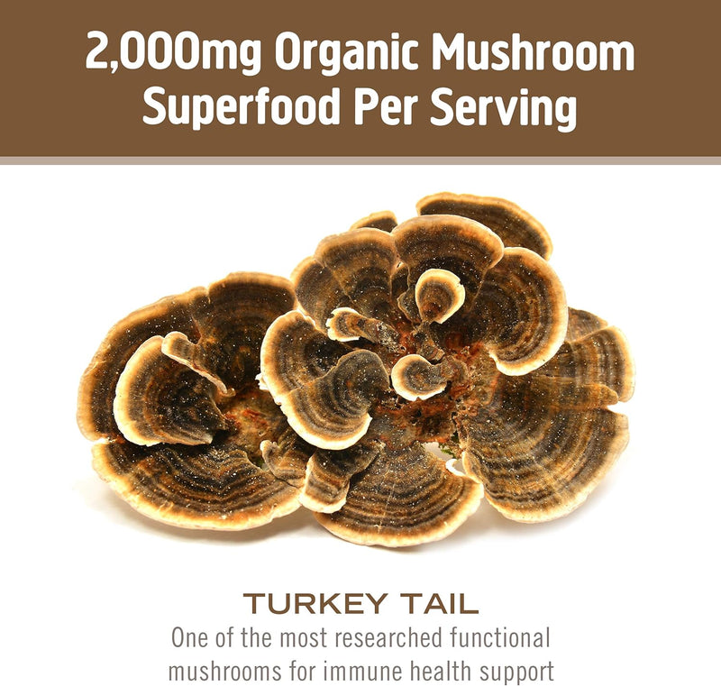 om-mushroom-superfood-turkey-tail-organic-mushroom-6.jpg