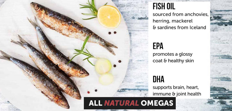 omega-3-fish-oil-for-dogs---180-count-tablet-treats-helps-shedding-skin-allergy-itch-and-dry-skin-relief-hot-spots---joint-health---skin-and-coat-supplement---salmon-oil---duck-flavor-4