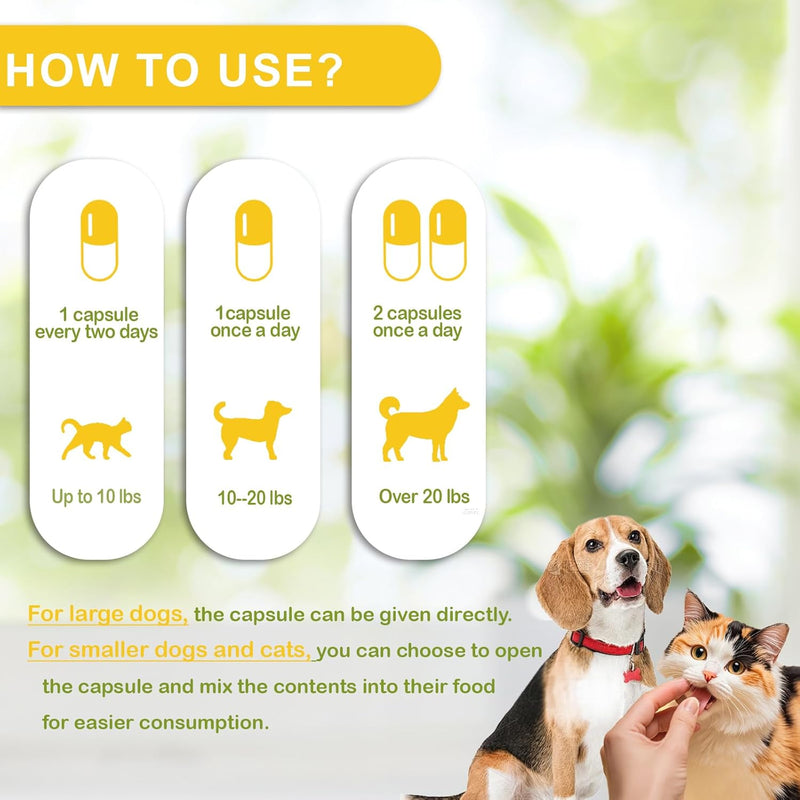 omega-3-fish-oil-for-dogs-and-cats-dog-cat-fish-oil-pet-supplement-skin-and-coat-supplement-for-shedding-dry-itchy-skin-and-allergies-rich-in-epa-dha-with-omega-3-fatty-acids-4