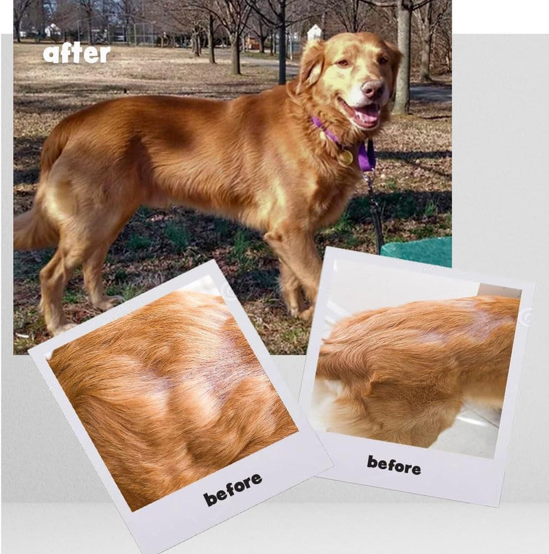 omega-caps-high-potency-snip-tips-for-medium-to-large-breeds-vet-formulated-for-healthy-radiant-skin-coat-contains-omega-3-for-joint-immune-system-support-easy-to-dose-soft-gel-capsules-250-ct-3