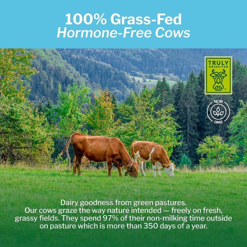 opportuniteas-grass-fed-vanilla-whey-protein-isola-3.jpg