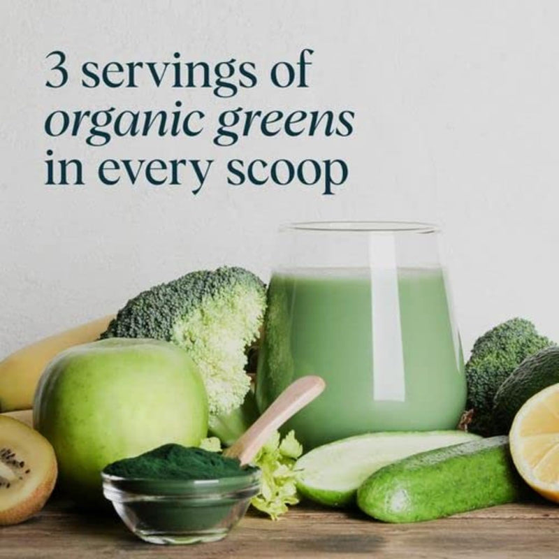 ora-organic-greens-powder-protein-power-bundle-20--6.jpg
