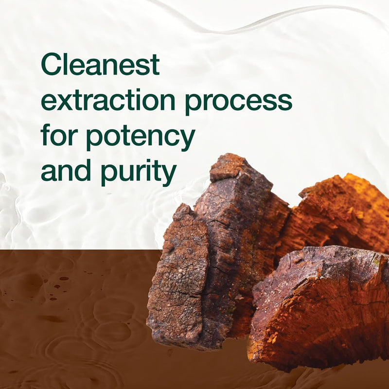 organic-chaga-mushrooms-strongest-dna-verified-150-6.jpg