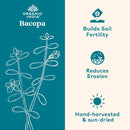 organic-india-bacopa-supplement---bacopa-monnieri--6.jpg