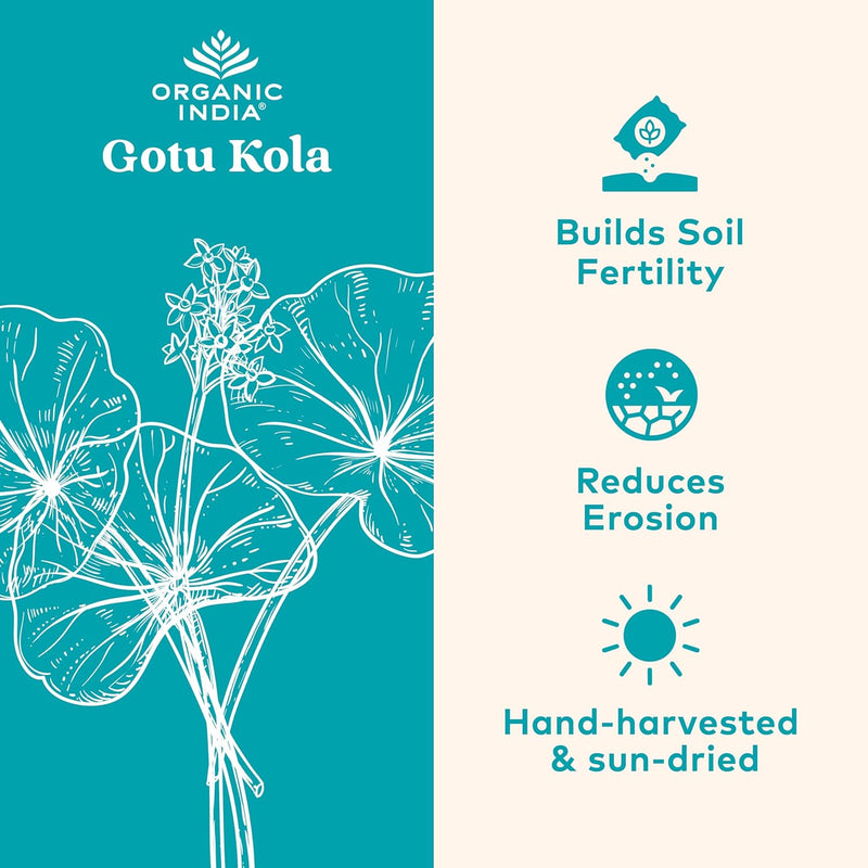 organic-india-gotu-kola---centella-asiatica-herbal-supplement---adaptogen-for-brain-nervous-system-support-vegan-gluten-free-usda-certified-organic-non-gmo-calming-mental-clarity---90-capsules-2