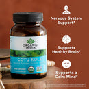 organic-india-gotu-kola---centella-asiatica-herbal-supplement---adaptogen-for-brain-nervous-system-support-vegan-gluten-free-usda-certified-organic-non-gmo-calming-mental-clarity---90-capsules-3