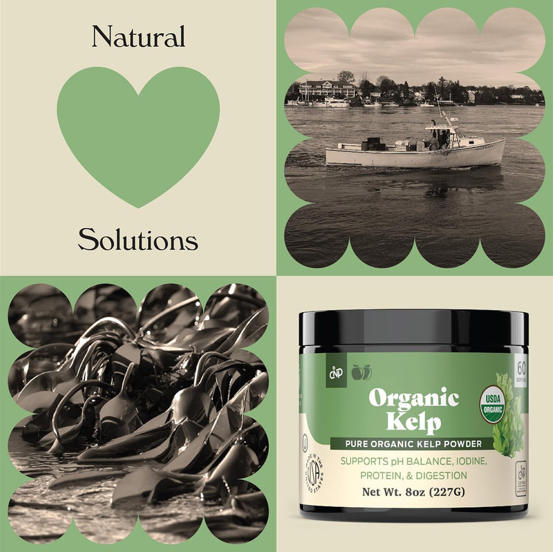 organic-kelp-powder-supplement---bulk-raw-dry-pure-4.jpg
