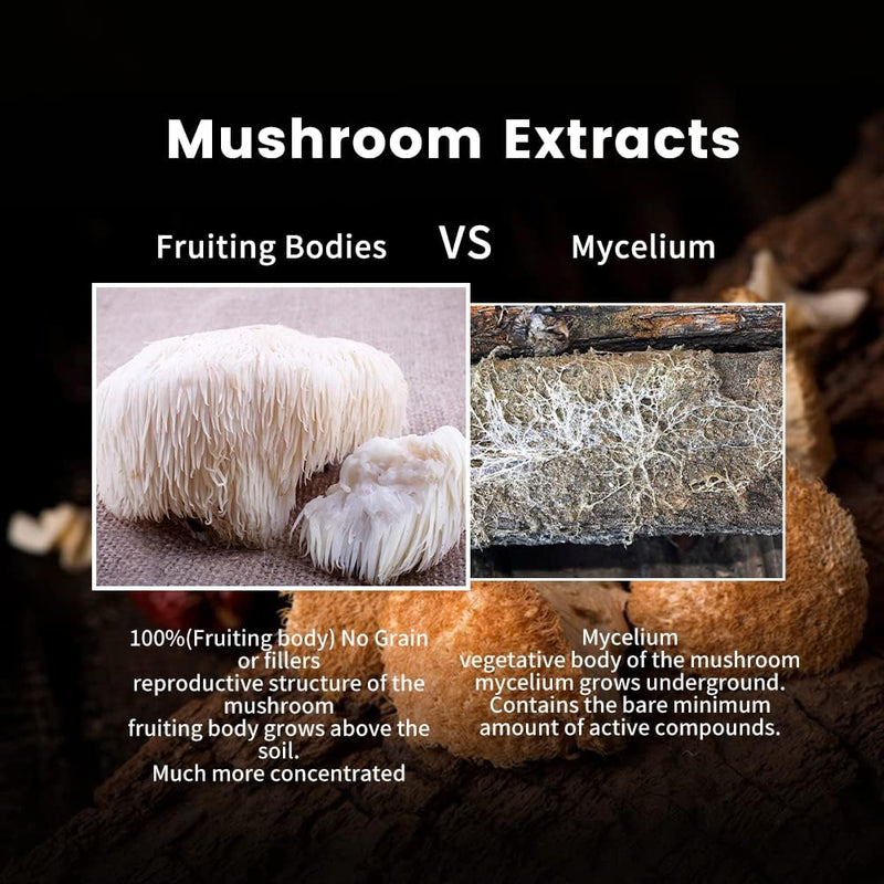organic-lions-mane-non-gmo-and-gluten-free-lions-m-6.jpg
