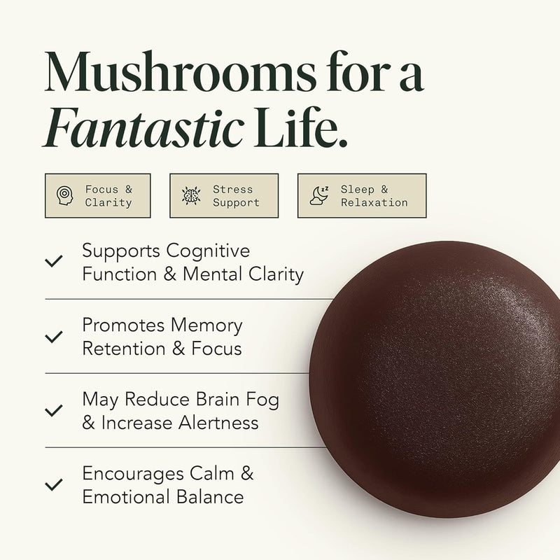 organic-mushroom-gummies-for-focus-energy-memory-g-2.jpg