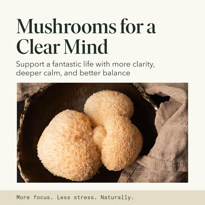 organic-mushroom-gummies-for-focus-energy-memory-g-7.jpg