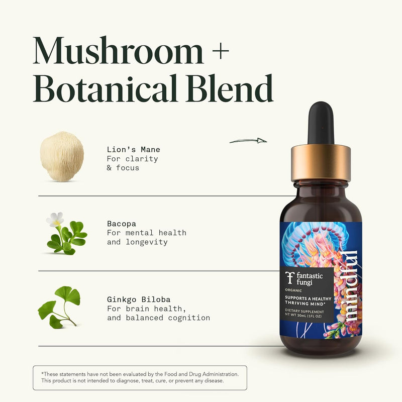 organic-mushroom-tincture-mindful-elixir-with-lion-4.jpg