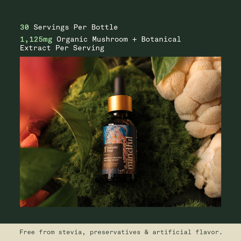 organic-mushroom-tincture-mindful-elixir-with-lion-5.jpg