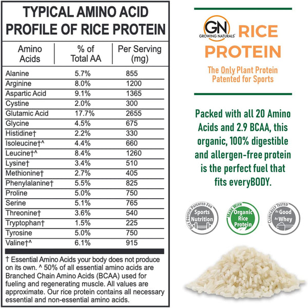 organic-rice-protein-powder---15g-plant-protein-28-2.jpg