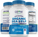 organic-sea-kelp-icelandic-enhanced---pure-healthy-1.jpg