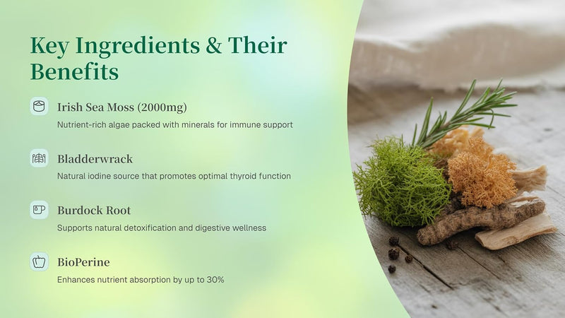 organic-sea-moss-capsules-2000mg-irish-sea-moss-bl-4.jpg