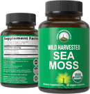 organic-sea-moss-capsules-wild-harvested-sea-moss--1.jpg